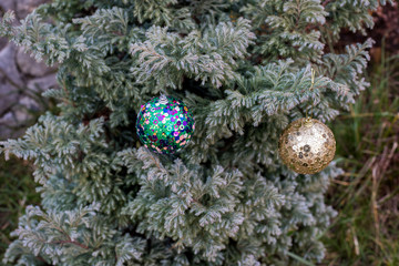 Christmas and New Year decoration on the pine tree branch with lights at the background at night outdoors. Concept of winter holidays.