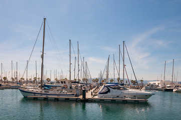 Fototapeta premium yachts in the marina