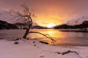 Sils (GR): Ausflug an den zauberhaften Silsersee