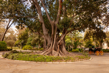 María Luisa Park in Seville