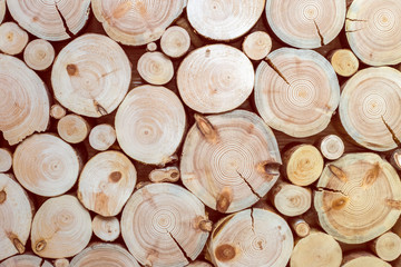 tree stumps and saws brown and red background