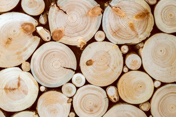 tree stumps and saws brown and red background