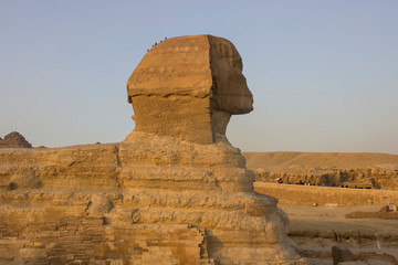 sphinx of giza in egypt
