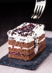 Chocolate sponge cake with blueberries and jam.