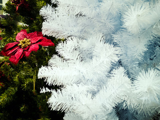 White  and  Christmas Tree with Red flower