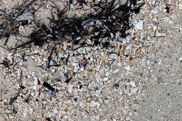 stone on the beach background