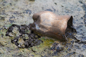 Discarded bottles, cans and plastic products are not only an eyesore, they pose a huge threat to the envoronment and our planet's ecosystems.