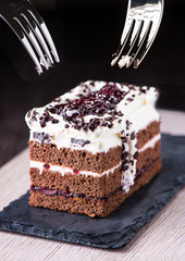 Chocolate sponge cake with blueberries and jam.