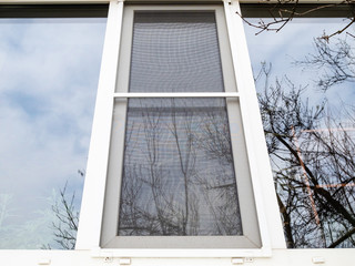 reflection of bare trees and sky in the window