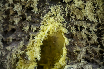 Geothermal hot spring with steam and sulfur crystals