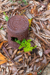 Discarded bottles, cans and plastic products are not only an eyesore, they pose a huge threat to the envoronment and our planet's ecosystems.