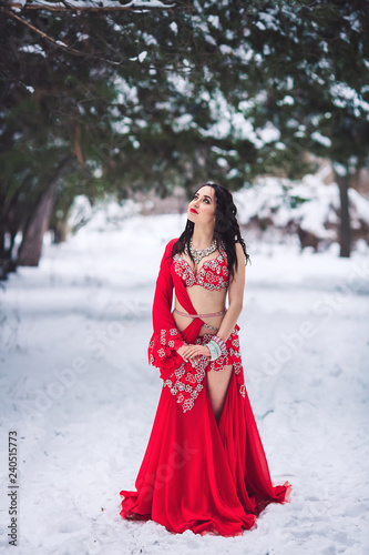 Red Snow Dress