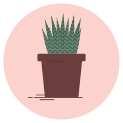 Vector illustration of aloe vera in a pot, urban plant.