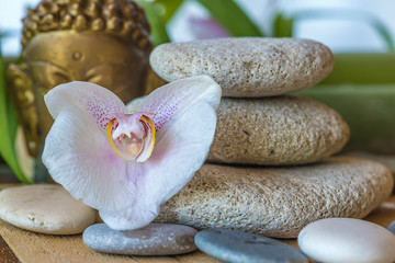Naklejka na ściany i meble Spa concept: pink orchid flower and massage stones close up