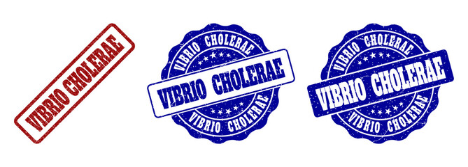 VIBRIO CHOLERAE scratched stamp seals in red and blue colors. Vector VIBRIO CHOLERAE overlays with grunge texture. Graphic elements are rounded rectangles, rosettes, circles and text captions.