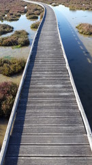 Long narrow wooden bridge over a lake with plants on the way endlessly