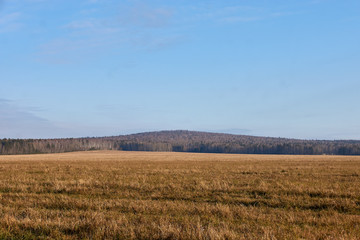 Obraz premium Nature