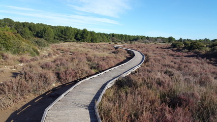 Long narrow wooden bridge in a field on the road without end