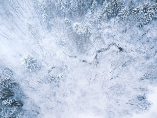 Aerial winter forest view. Drone landscape, fly above. White trees with snow, beautiful wallpaper background. High modern photography.