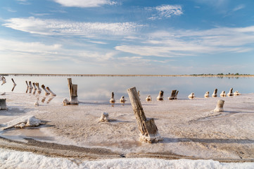 sunset on a pink salt lake, a former mine for the extraction of pink salt. row of wooden pegs overgrown with salt.
