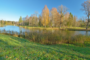 Autumn landscape in the Park.