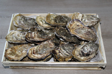 bouriche d'huitres