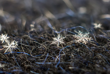 Snowflake Natural Macro Extreme