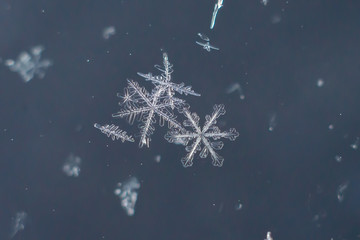 Snowflake Natural Macro Extreme