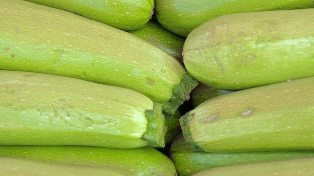  fresh zucchini on the market.
