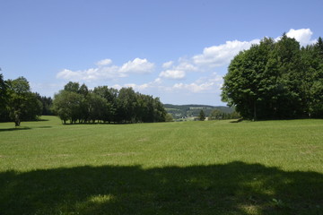 Plakat landscape with trees