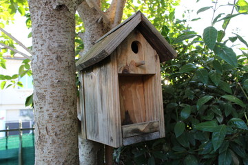 niche à oiseaux