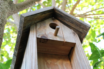 construction en bois