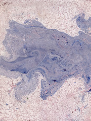 Stains of paint on paper. The texture of the splashes and spots of paint. EBRU- Ancient oriental drawing technique. Chaotic abstract organic design. Marbleized.