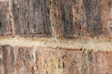 Macro angled View Of Bricks And Mortar Joint, on Brick Wall.