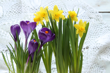 Daffodils with crocus on lace 