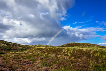 Fototapeta na wymiar Rainbow over the island Sylt, Germany, near Kampen. Kampen is a seaside resort on the island Sylt, in the district of Nordfriesland, Schleswig-Holstein.