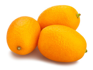 kumquat