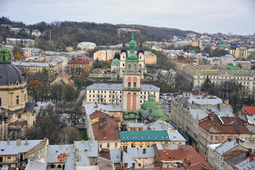 Fototapeta na wymiar View of the city. Roofs of houses