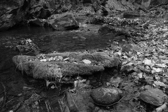 Fototapeta Stones in Milesovicky potok stream in Oparenske udoli valley in czech central mountains on 19th december 2018