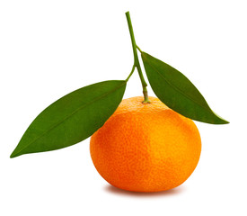tangerine
