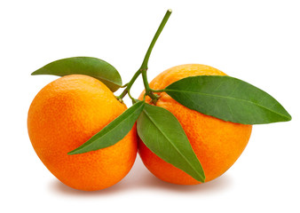 tangerine