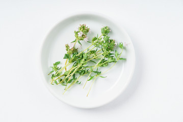 fresh oregano on the white plate