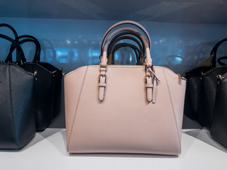 Hand Bags on a Store Self