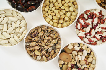 different kind of bean