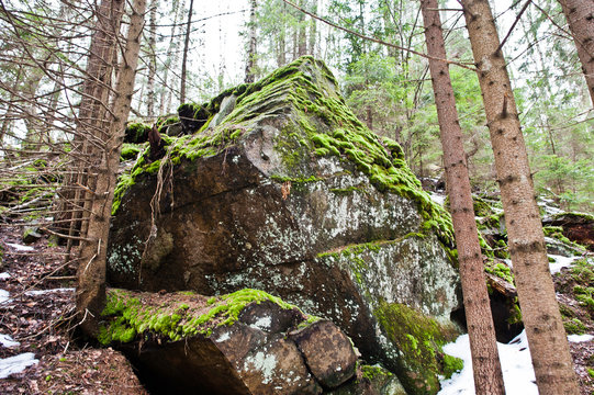 Fototapeta Dovbush rocks in green forest at Carpathian mountains.