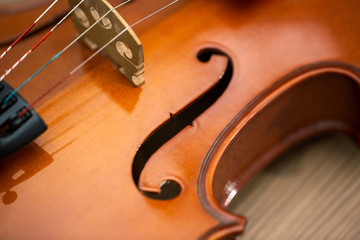 violin