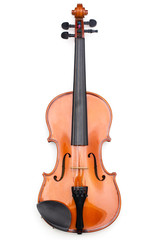 Fototapeta premium violin