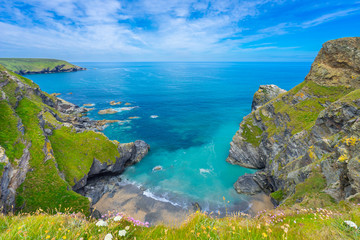 View of the South Devon coast, England, in the summer with clear waters, blue sky and grass. - obrazy, fototapety, plakaty