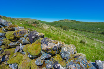 Dartmoor National Park in the summer, southern Devon, England. Dry stone walls on the moorland, built with granite boulders of varying sizes without any mortar. They can be up to 230 years old.