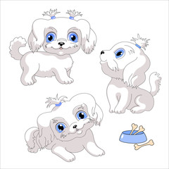  White lap dog. Little dog with blue eyes vector illustration